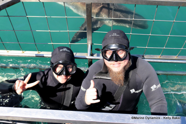 Shark Cage Diving, South Africa